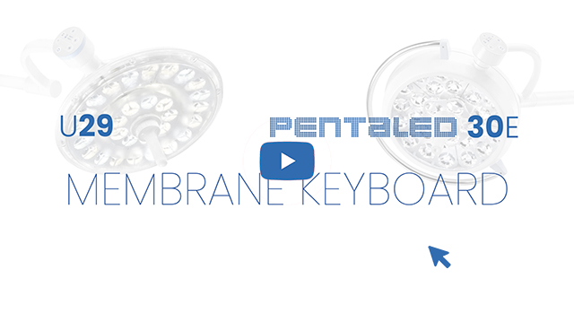 membrane keyboard pl30e u29 rimsa